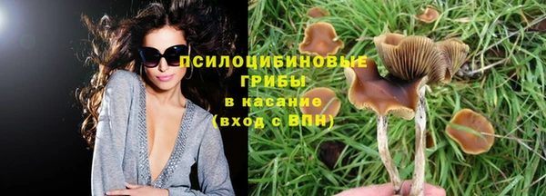 СК Горняк