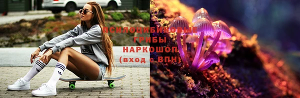 амф Горно-Алтайск