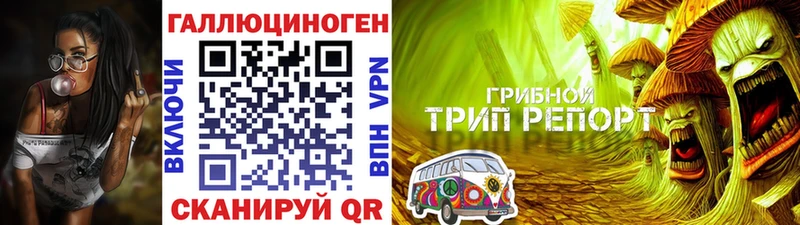 Псилоцибиновые грибы GOLDEN TEACHER  kraken зеркало  Юрга 